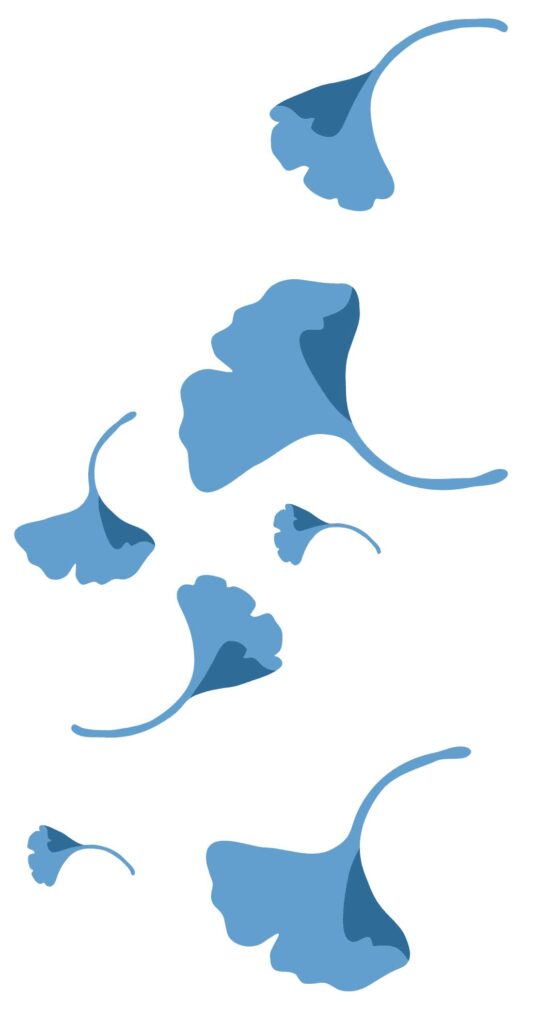 Auditoría IT Encora México