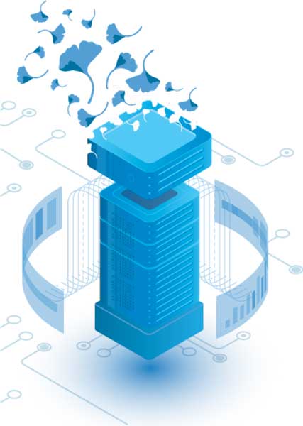 Encora ciberseguridad